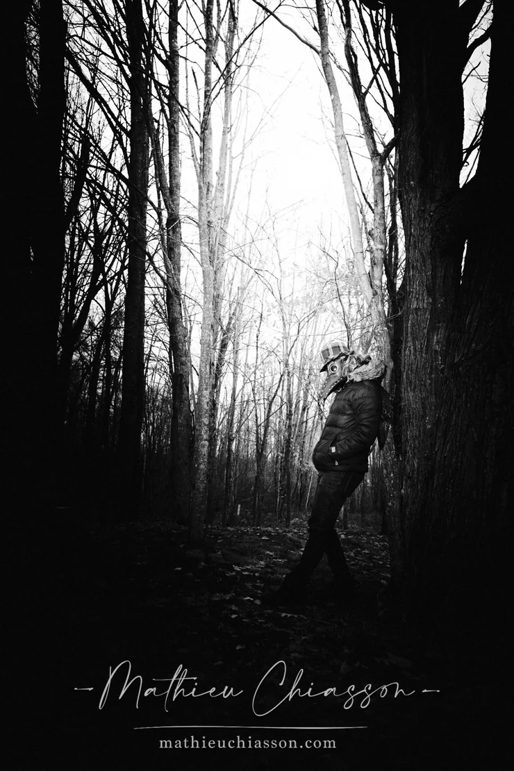 Into the trees