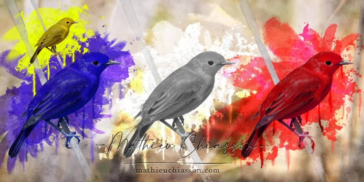 A bird, a little differently